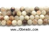 CSS853 15.5 inches 12mm round sunstone beads wholesale