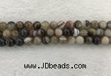 CAA1813 15.5 inches 10mm round banded agate gemstone beads