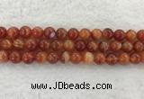 CAA1904 15.5 inches 12mm round banded agate gemstone beads