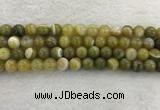 CAA1953 15.5 inches 10mm round banded agate gemstone beads