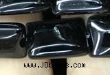 CAA2567 15.5 inches 12*16mm rectangle black agate beads wholesale