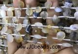 CAA3836 Top drilled 8*12mm faceted briolette montana agate beads