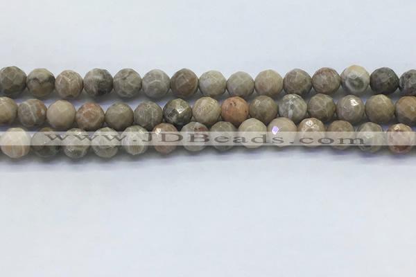 CAA3962 15.5 inches 8mm faceted round chrysanthemum agate beads