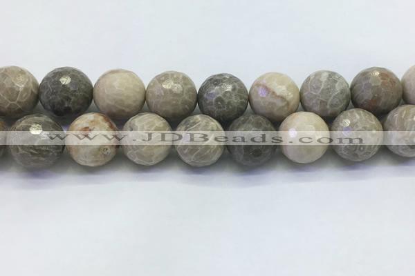 CAA3968 15.5 inches 20mm faceted round chrysanthemum agate beads