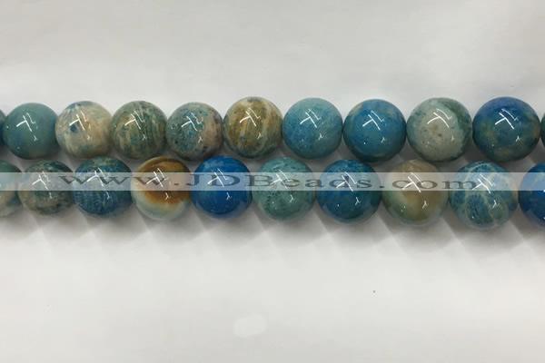 CAA3982 15.5 inches 16mm round chrysanthemum agate beads