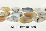 CAA4394 15.5 inches 18*28mm - 30*45mm freeform Montana agate beads