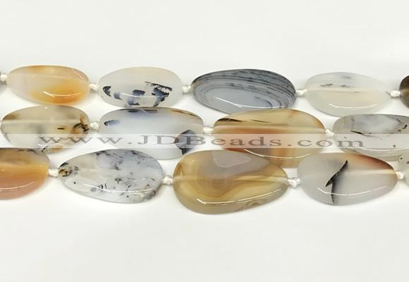 CAA4394 15.5 inches 18*28mm - 30*45mm freeform Montana agate beads