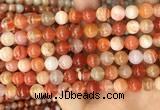 CAA5003 15.5 inches 8mm round red botswana agate beads wholesale