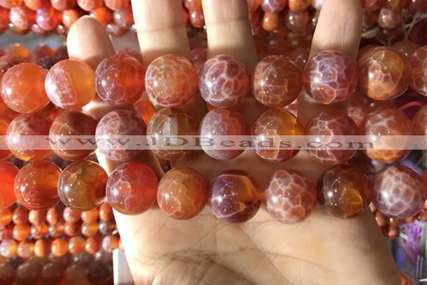 CAA5076 15.5 inches 16mm round red dragon veins agate beads