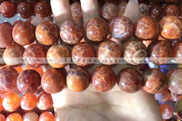 CAA5078 15.5 inches 20mm round red dragon veins agate beads