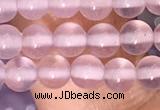 CAA5080 15.5 inches 4mm round purple agate beads wholesale