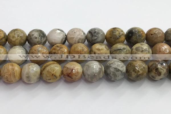 CAA5294 15.5 inches 12mm faceted round crazy lace agate beads wholesale