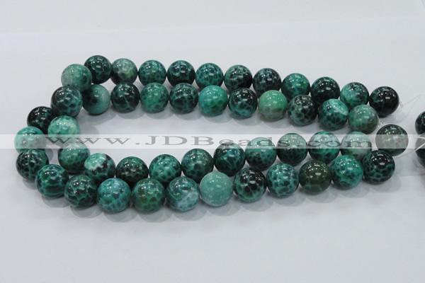 CAB54 15.5 inches 16mm round peafowl agate gemstone beads wholesale