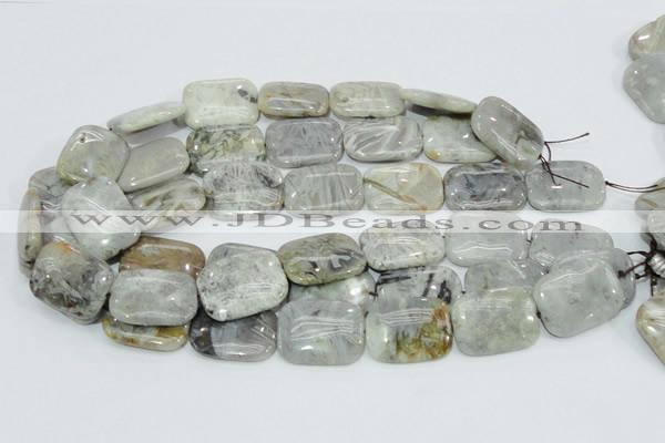 CAB88 15.5 inches 22*30mm rectangle silver needle agate gemstone beads