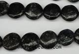 CAE45 15.5 inches 12mm flat round astrophyllite beads wholesale