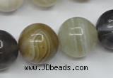 CAG1827 15.5 inches 18mm round Chinese botswana agate beads