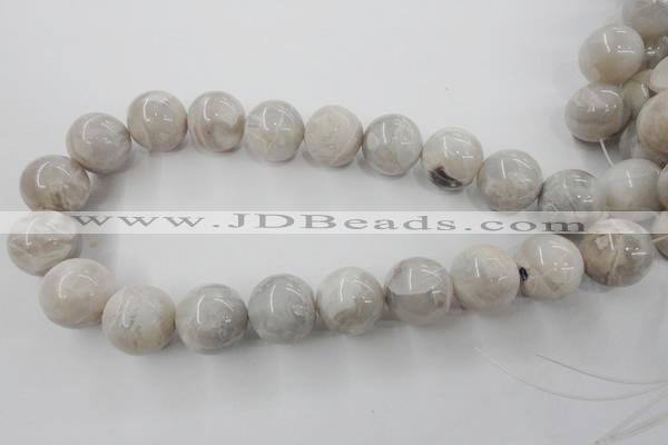 CAG1902 15.5 inches 20mm round grey agate beads wholesale