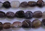 CAG2771 15.5 inches 8*12mm nuggets botswana agate beads wholesale