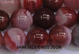 CAG6113 15.5 inches 10mm round south red agate gemstone beads