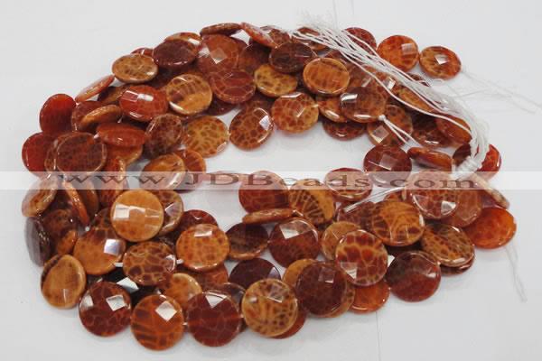 CAG638 15.5 inches 16mm faceted coin natural fire agate beads