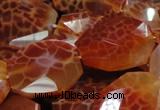 CAG682 15.5 inches 22*30mm faceted freeform natural fire agate beads