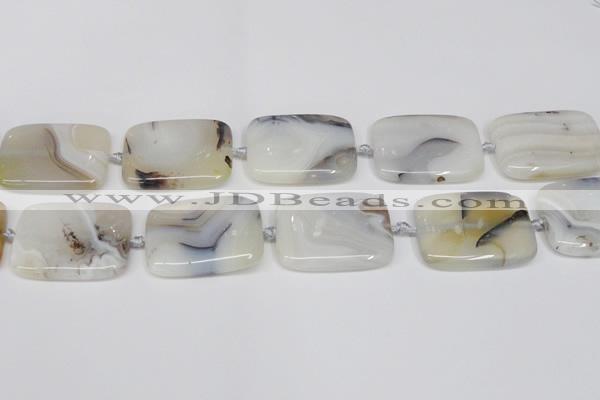 CAG7426 15.5 inches 30*40mm rectangle Montana agate beads