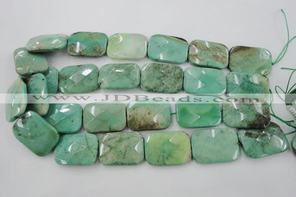 CAG7927 15.5 inches 25*35mm faceted rectangle grass agate beads