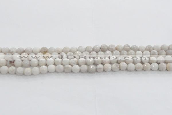 CAG8515 15.5 inches 8mm faceted round grey agate beads wholesale