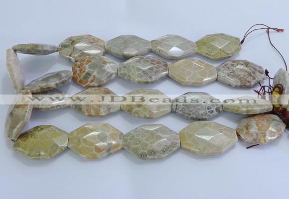 CAG9440 22*30mm - 25*35mm faceted freeform chrysanthemum agate beads