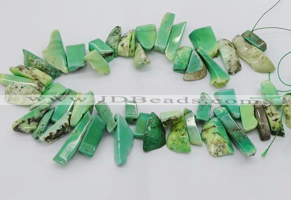 CAG9725 Top drilled 8*20mm - 12*40mm freeform grass agate beads