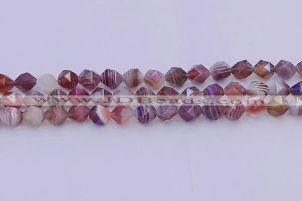 CAG9794 15.5 inches 12mm faceted nuggets botswana agate beads