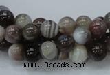 CAG980 15.5 inches 10mm round botswana agate beads wholesale