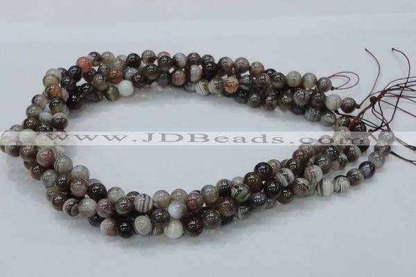 CAG980 15.5 inches 10mm round botswana agate beads wholesale