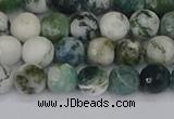 CAG9838 15.5 inches 6mm faceted round tree agate beads