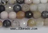 CAG9896 15.5 inches 4mm faceted round parrel dendrite agate beads