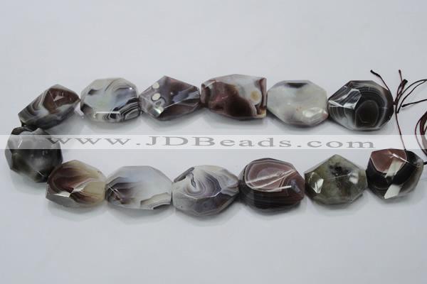 CAG991 15.5 inches 25*30mm faceted freeform botswana agate beads