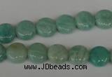 CAM1016 15.5 inches 10mm flat round natural Russian amazonite beads