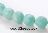 CAM28 10mm natural amazonite faceted round stone beads Wholesale