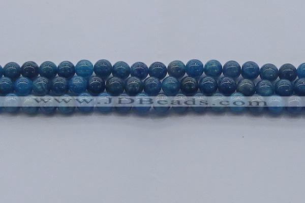 CAP362 15.5 inches 8mm round apatite gemstone beads wholesale