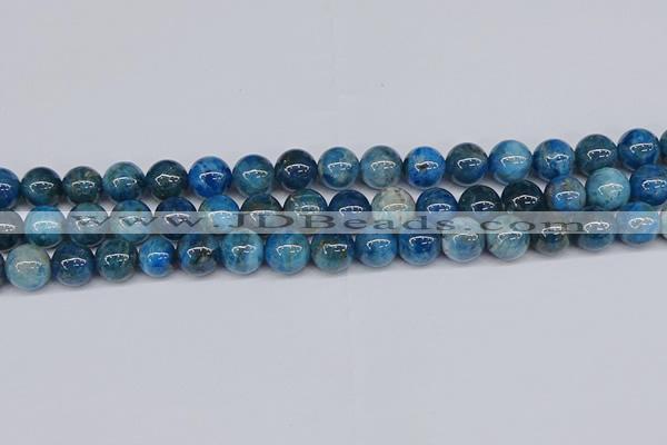 CAP413 15.5 inches 10mm round apatite gemstone beads wholesale