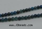 CAP51 15.5 inches 4mm round dyed apatite gemstone beads wholesale