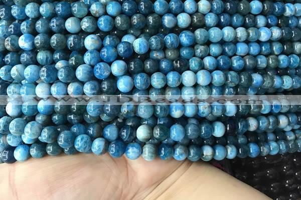 CAP577 15.5 inches 6mm round apatite beads wholesale