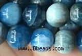 CAP579 15.5 inches 10mm round apatite beads wholesale