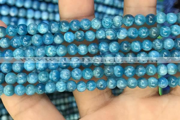 CAP605 15.5 inches 5mm round natural apatite gemstone beads