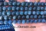 CAP641 15.5 inches 10mm round natural apatite gemstone beads