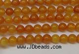 CAR101 15.5 inches 4mm round natural amber beads