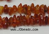 CAR115 16 inches 3*6mm - 4*8mm natural amber chips beads