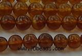 CAR526 15.5 inches 5mm - 6mm round natural amber beads wholesale