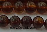 CAR528 15.5 inches 8mm - 9mm round natural amber beads wholesale