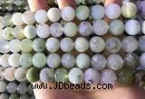 CAU463 15.5 inches 11mm - 12mm round Australia chrysoprase beads